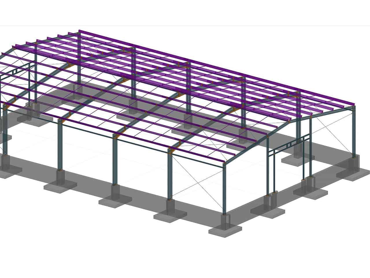 model hali stalowej z advance steel